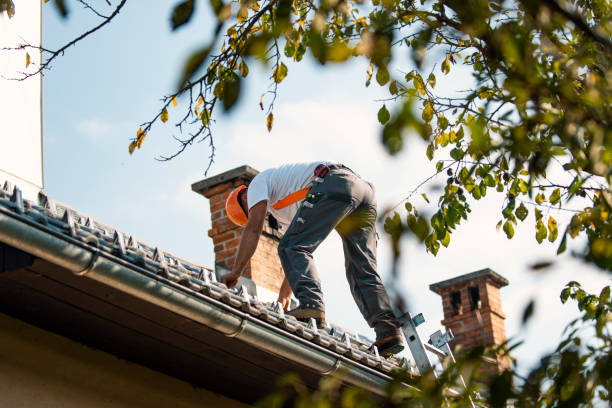Best Roofing Contractor Near Me  in Russellville, KY