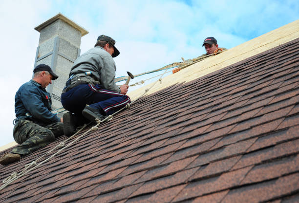 Best Residential Roofing Contractor  in Russellville, KY